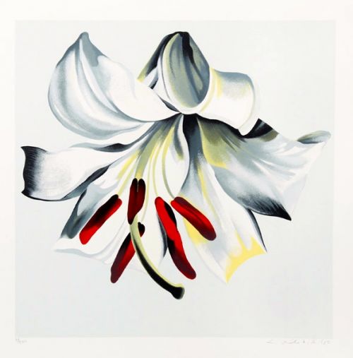 White Lily on white